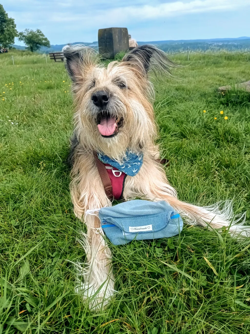 Dummy für Hundetraining und Schnüffelspiele